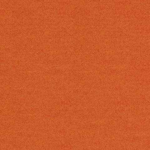 Polichrome Solid 4266022 Carrot