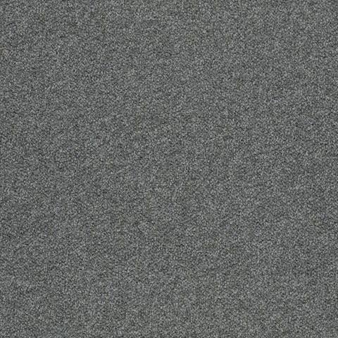 Tessera Chroma – 3604 elephant