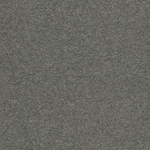 Tessera Chroma – 3605 pathway