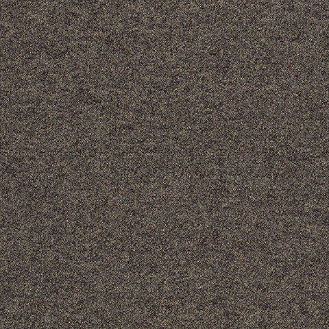 Tessera Chroma – 3611 treacle