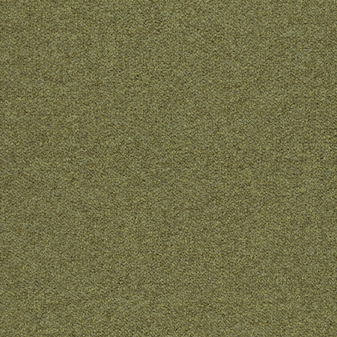 Tessera Chroma – 3613 pasture