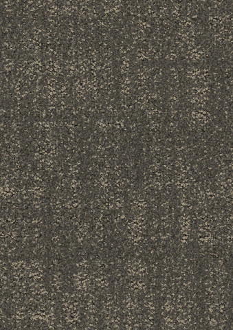 Tessera Perspective Teppichfliese - 3907 melodious