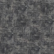 Conscient 4195006 Fragment