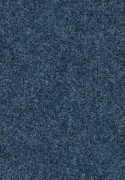Forbo Forte 96017T Marine