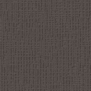 Monochrome 346724 Rhino
