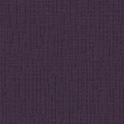 Monochrome 346713 Elderberry