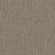 Monochrome 346727 Caraway