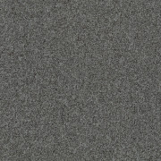 Tessera Basis Pro Teppichfliese - 4372 seal Tessera Basis Pro Teppichfliese