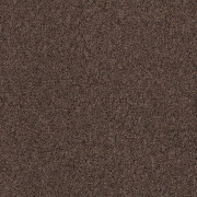 Tessera Basis Pro Teppichfliese - 4384 sable Tessera Basis Pro Teppichfliese