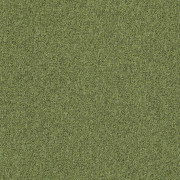 Tessera Basis Pro Teppichfliese - 4388 meadow Tessera Basis Pro Teppichfliese