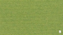 tretford SOCKELLEISTEN 622 Wasabi